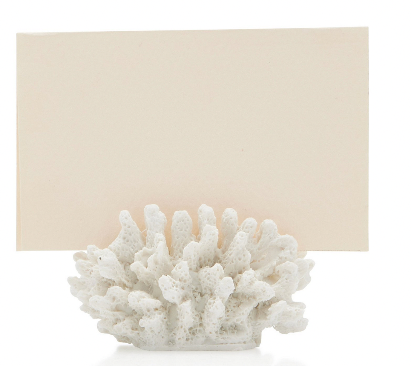 Coral Resin Placecard Holders